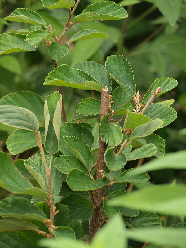 P7176500