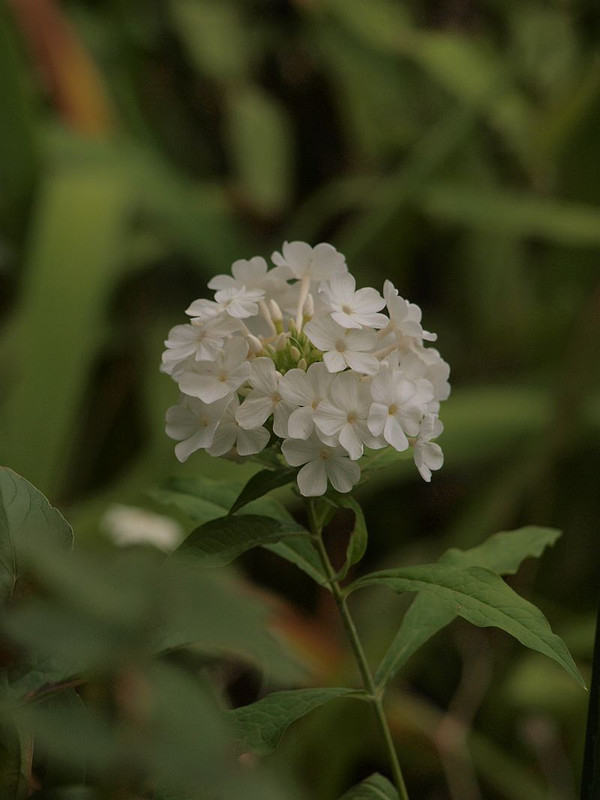 P7176501