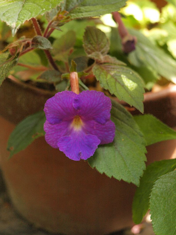 P7186513