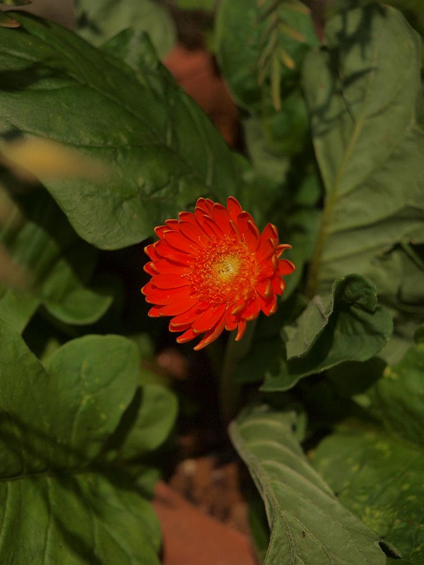 P7206555