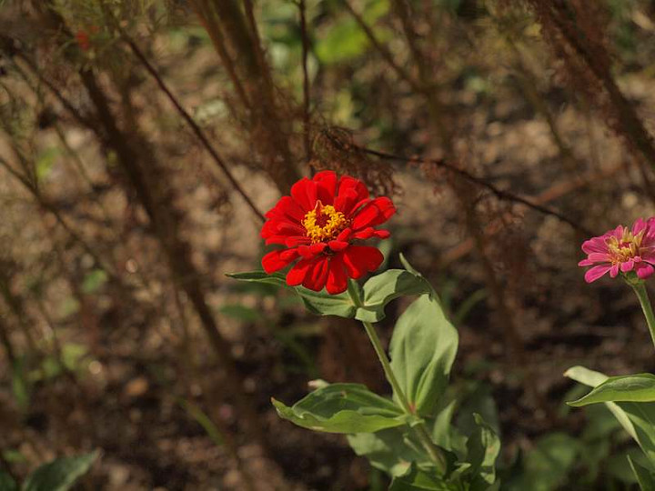 P7287755