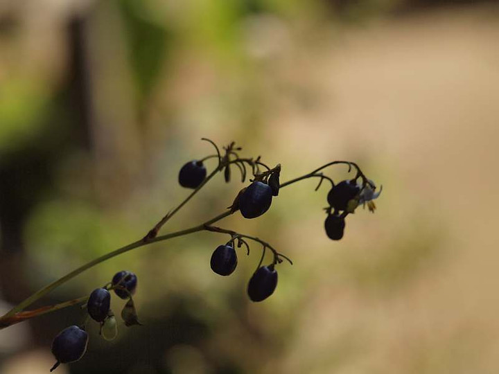 P7287767