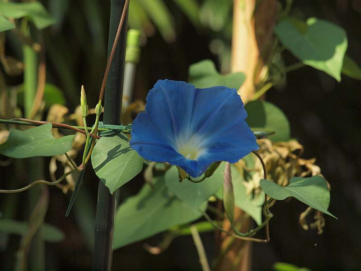 P7307772