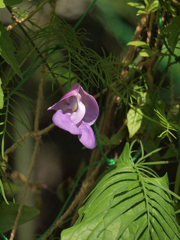 P7307773