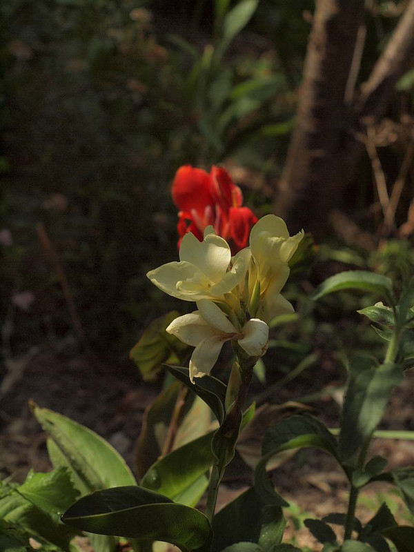 P7307776