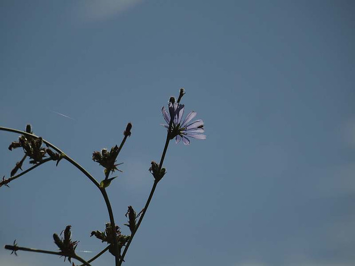P7317798