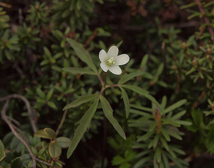 P7237043himeitige_bi