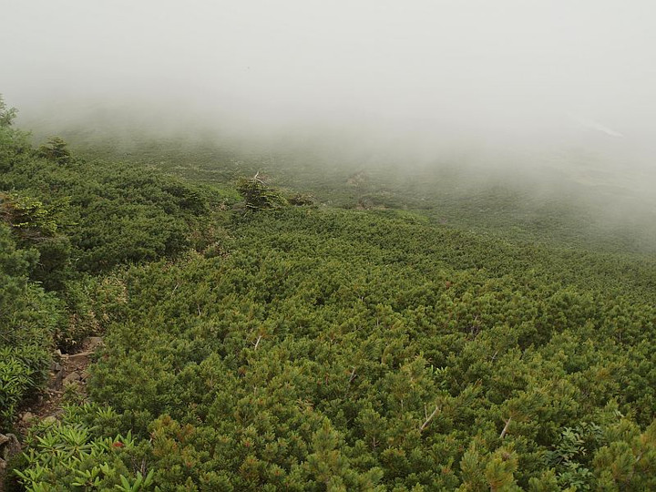 P7237110gasuto_haimatu