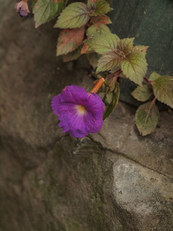 P8158302