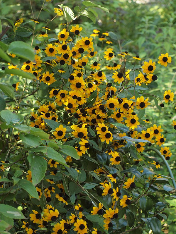 P8198678