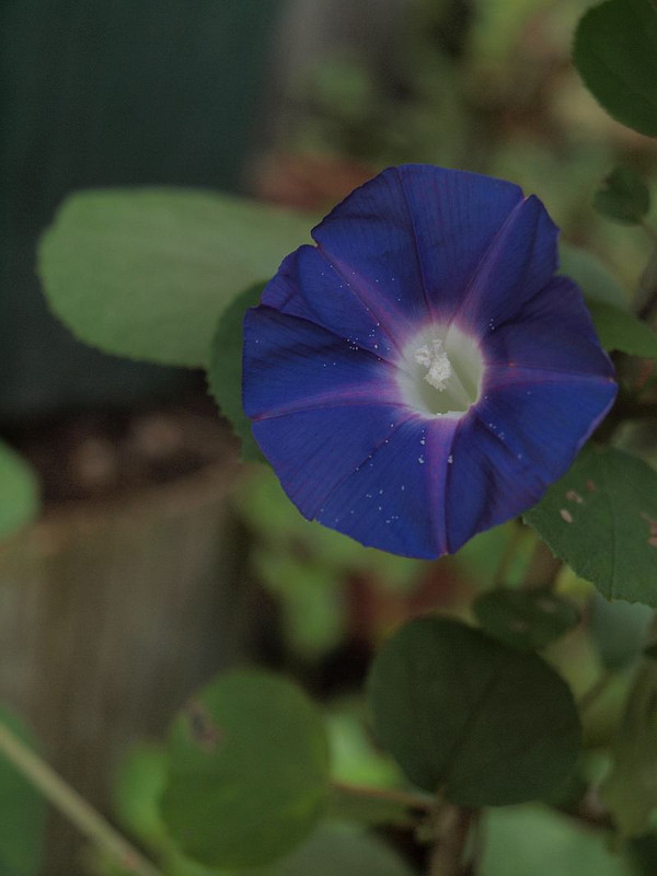 P8208701