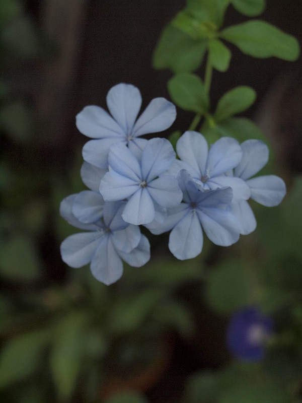 P8208702