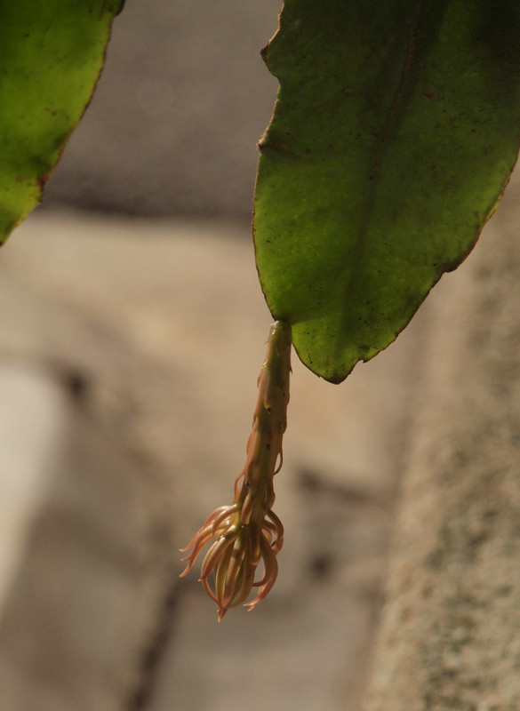 P8208718