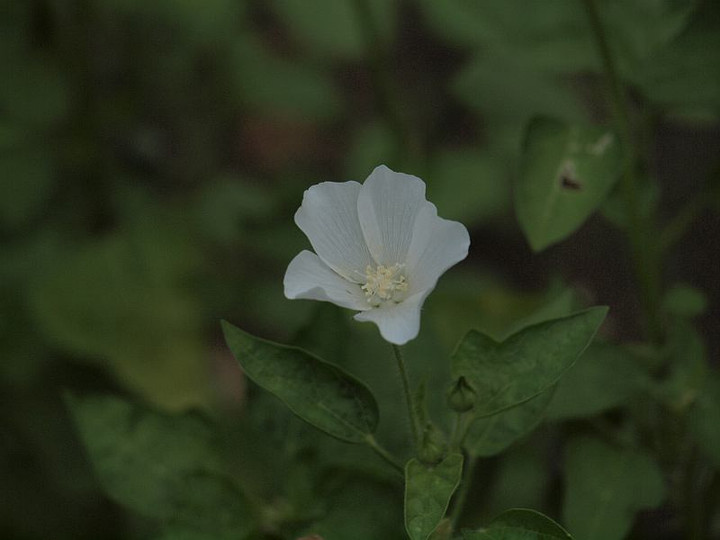P8259097