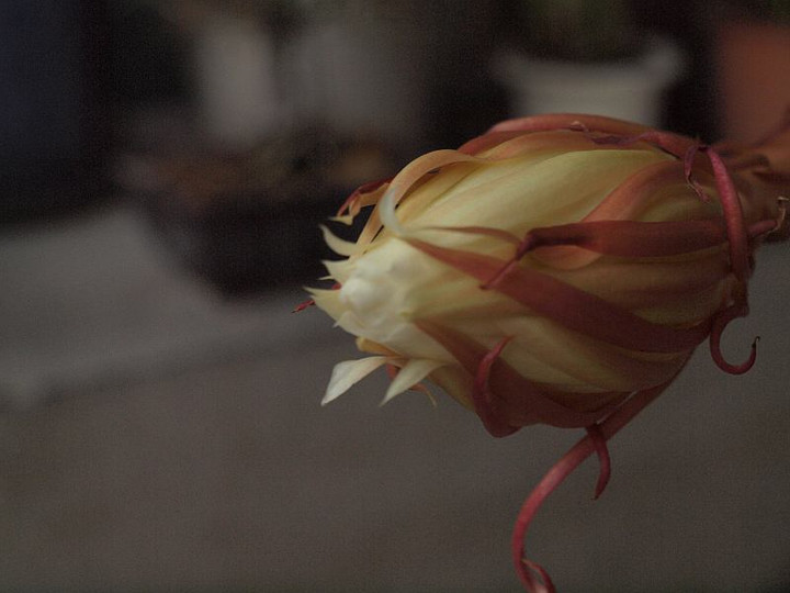 P8269149