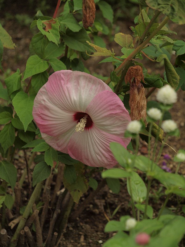 P8309302