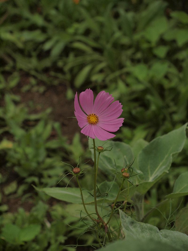 P8309315