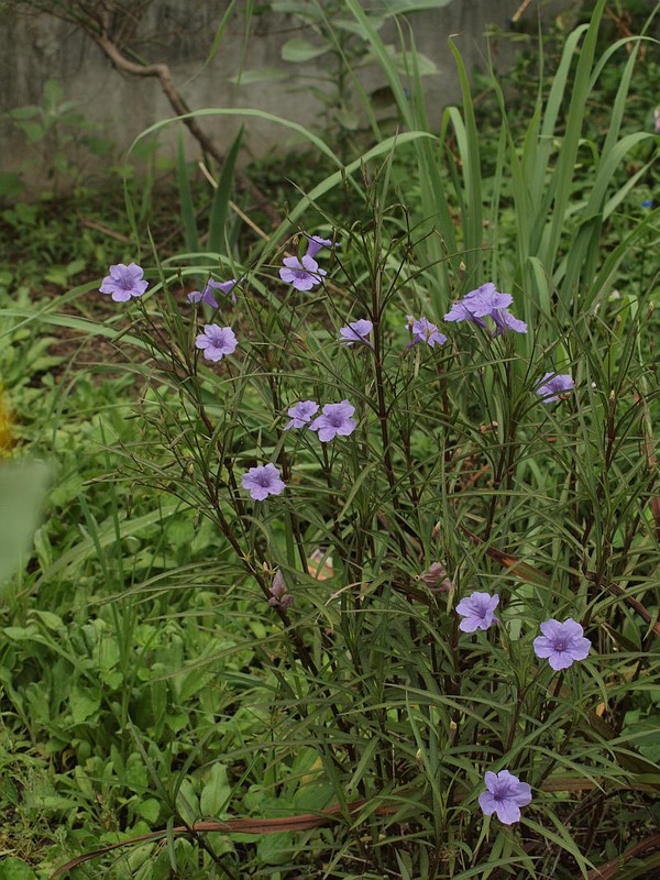 P8309319
