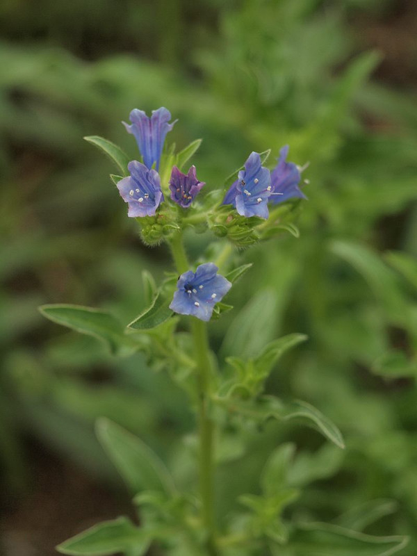 P8309320