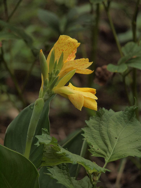 P8309323