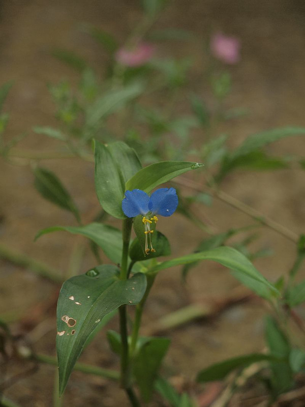 P9029673