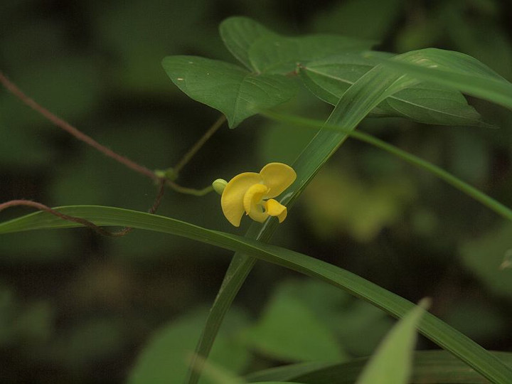 P9039723