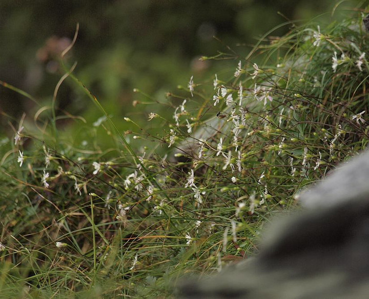 P8319481tebakomanntema