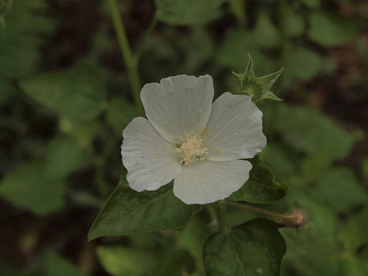 P9059793