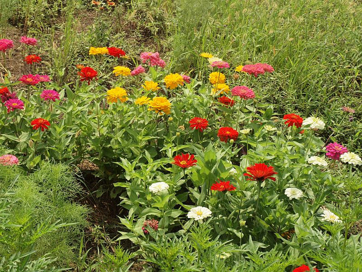 P9059808