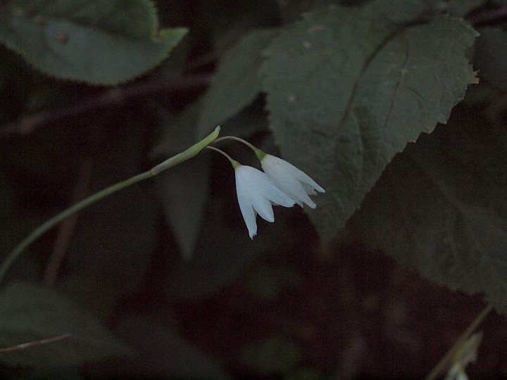 P9110060