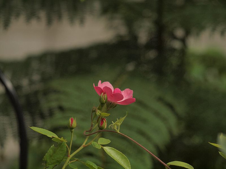 P9120088