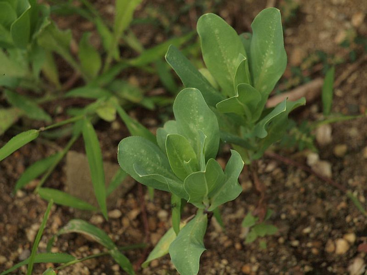 P9120091