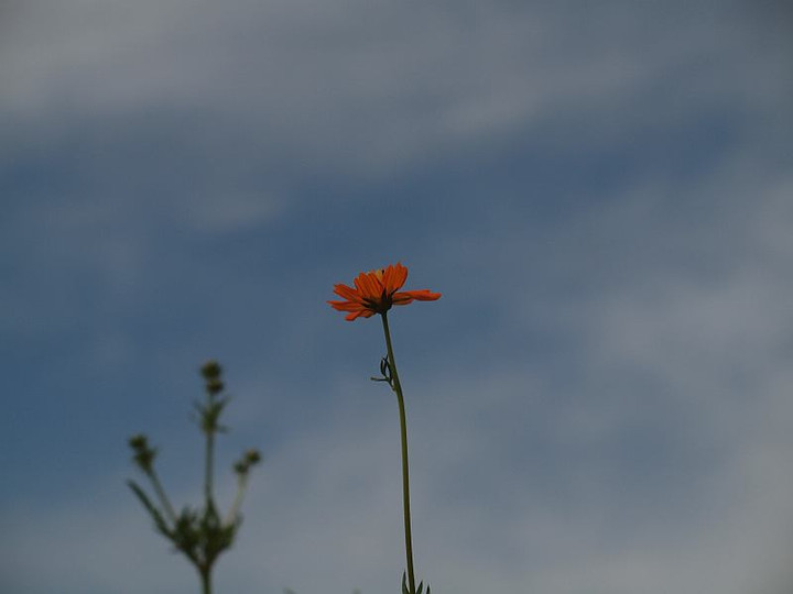 P9120108