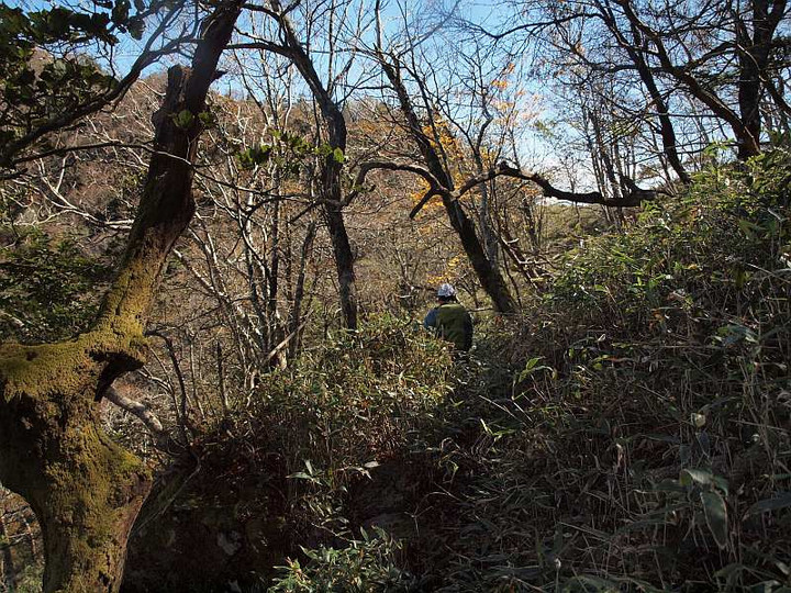 Pa183058mousugu_ryousenn