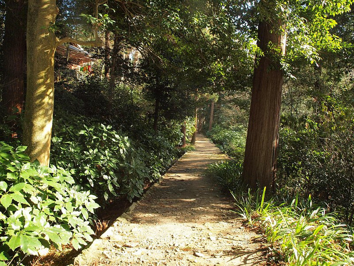 P1037812sirominejihe