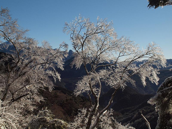 P1189379muhyouto_komotigonngenn