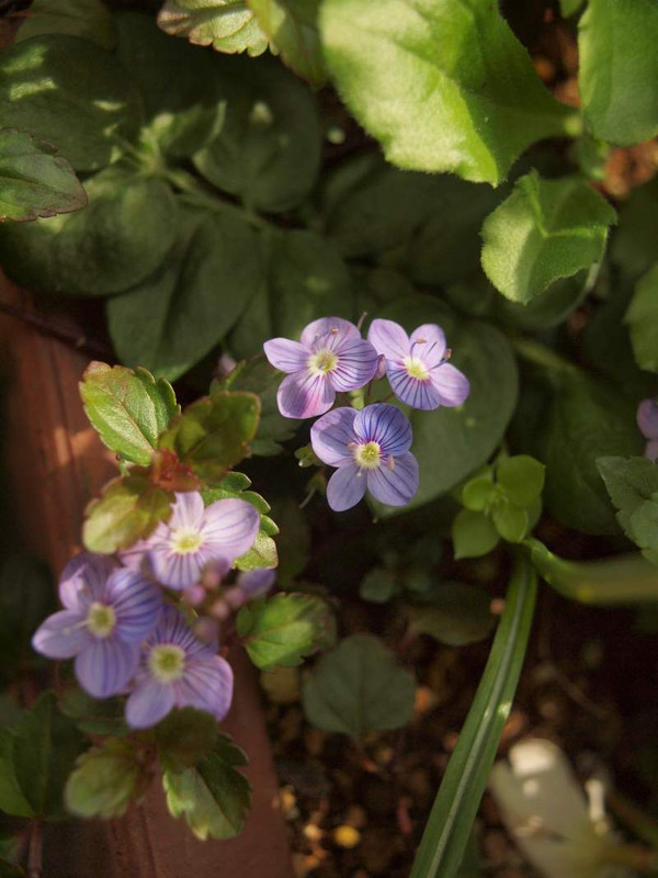 P4163319