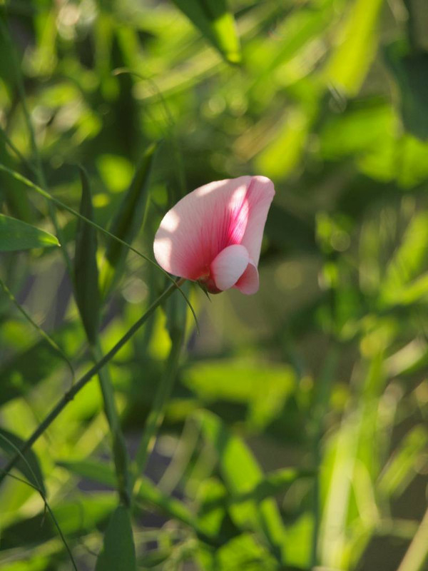 P5015719
