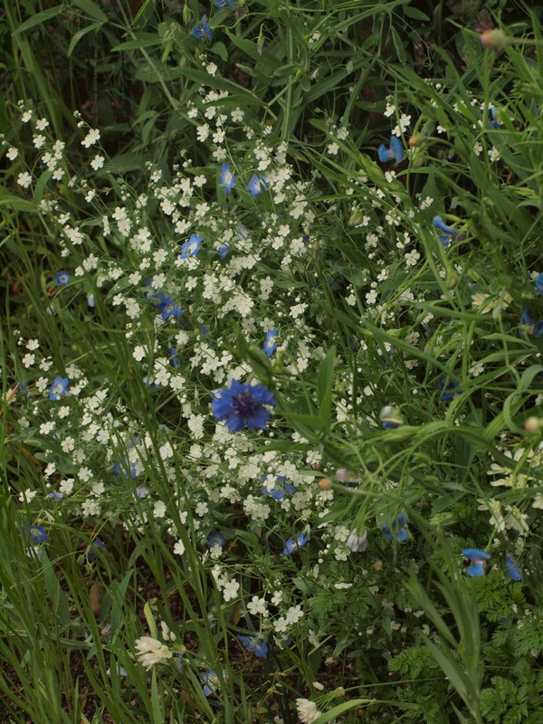 P5046266