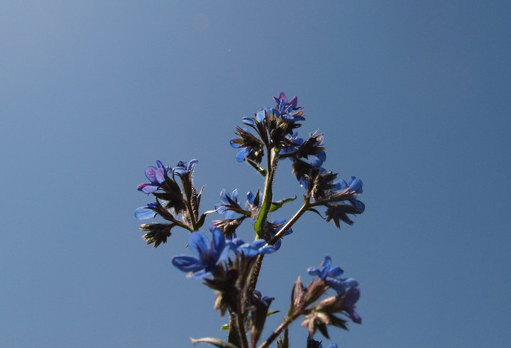 P5056324