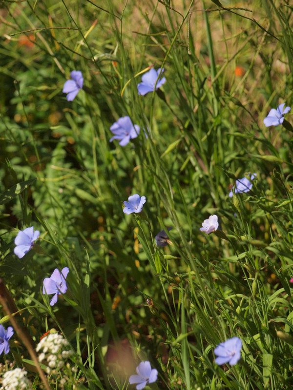 P5056379