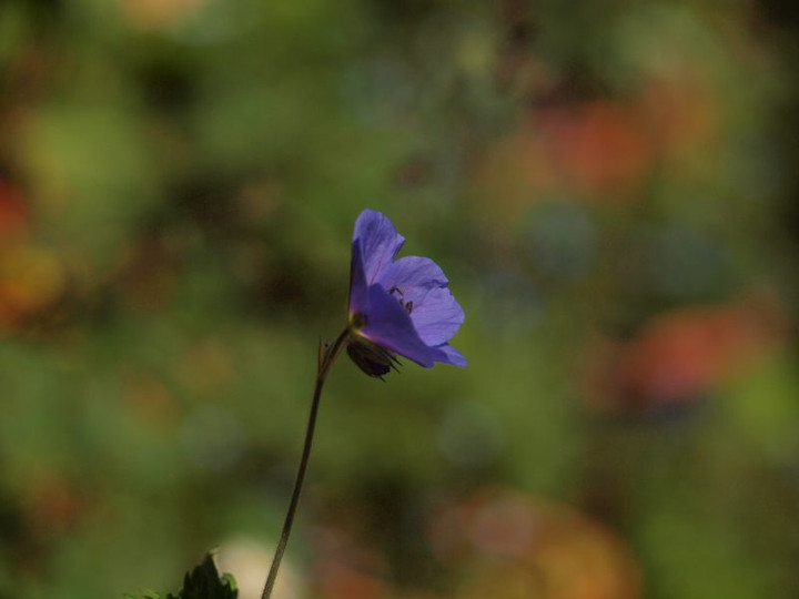 P5075746