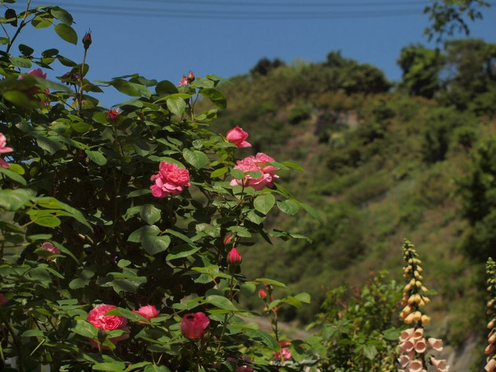 P5085832