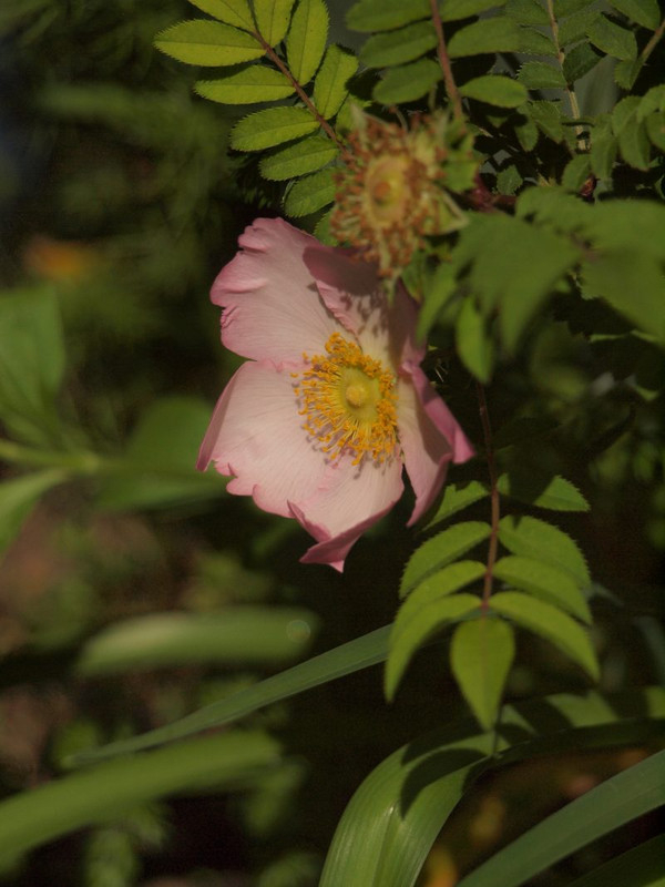P5085871