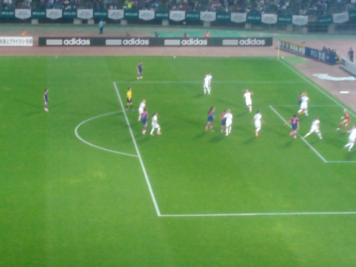 Kimg0574sakka_hitokoma