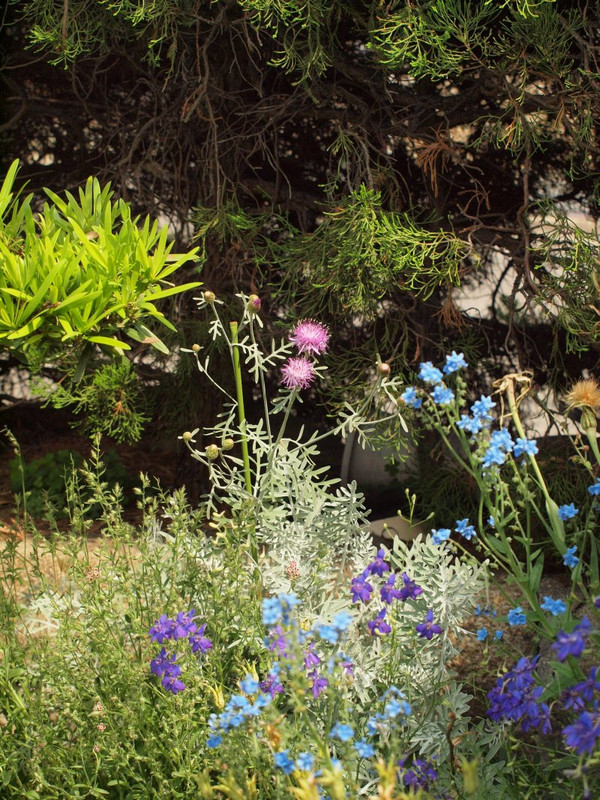 P5257691