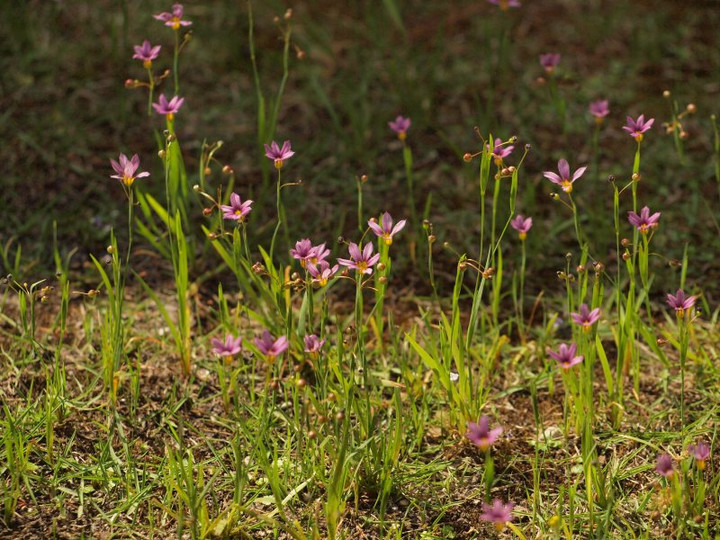 P5257692