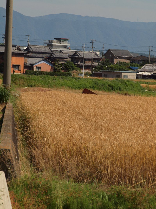 P5267745