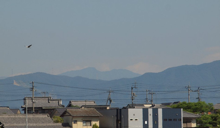 P5267746