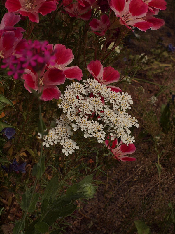P5287810